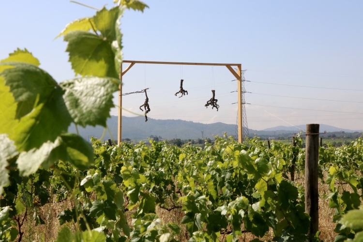 Sculpture 'dead vineyards close to the sky' in a vineyard in Penedès county on June 2, 2022 (by Gemma Sánchez)